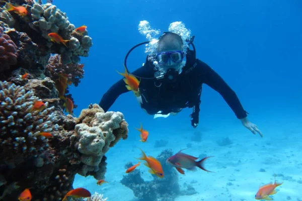 Professional diving program